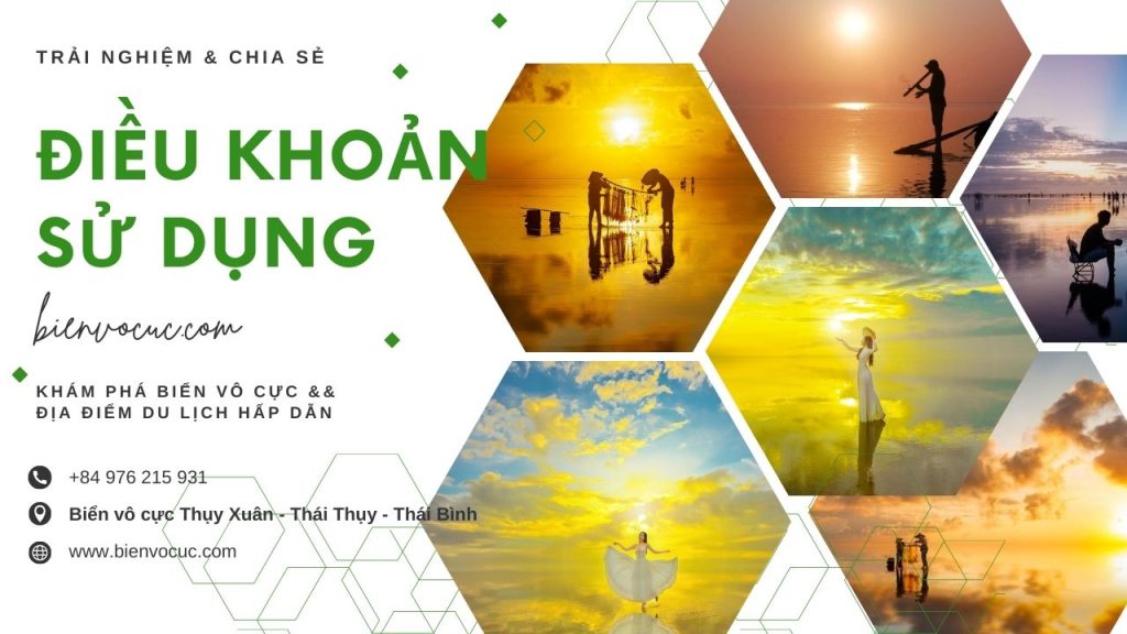 điều khoản sử dụng - bienvocuc.com