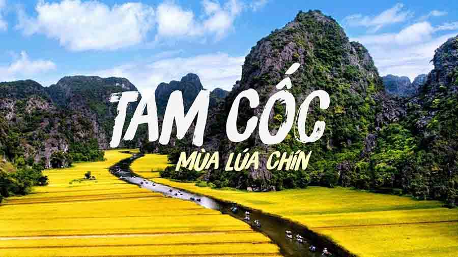 Kinh nghiệm du lịch Tam Cốc Bích Động | Du lịch Ninh Bình 2021