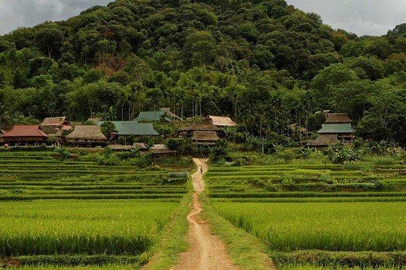 Tour 3 Ngày] Trekking Tại Mai Châu - Pù Luông