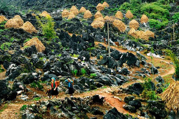 Công viên địa chất toàn cầu Cao nguyên đá Đồng Văn: Gập ghềnh tìm hướng khai thác