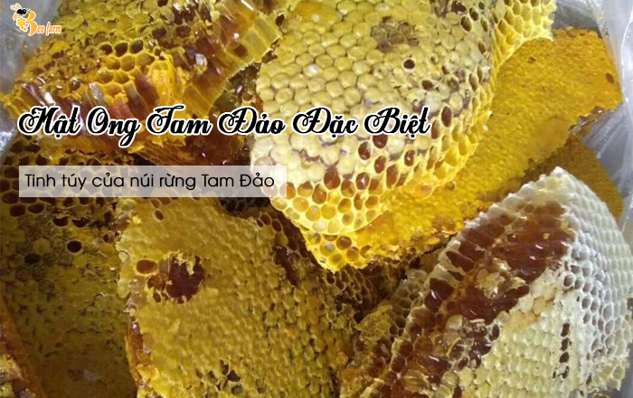 Địa chỉ bán mật ong tam đảo giá chính hãng 2023 | Beefarm