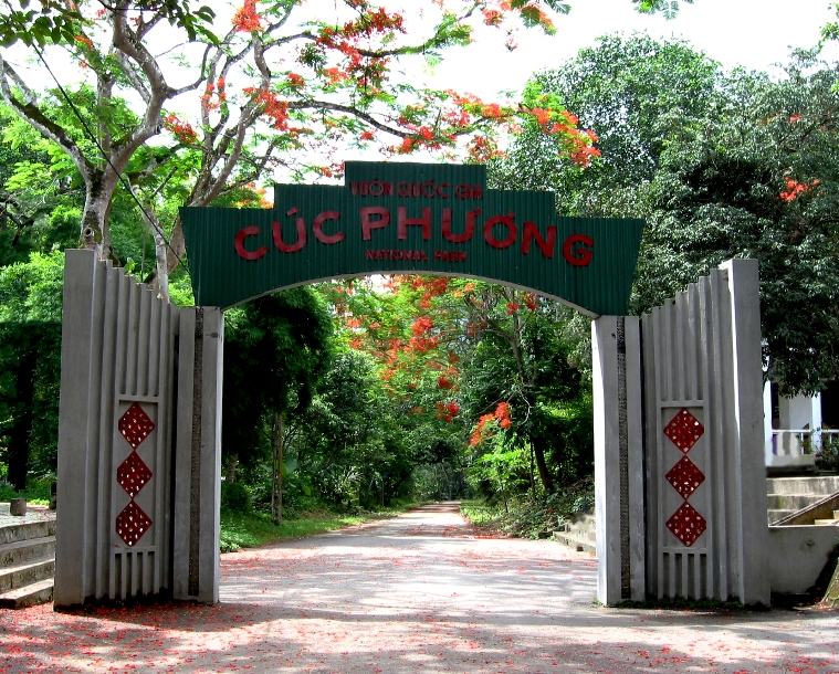 VƯỜN QUỐC GIA CÚC PHƯƠNG