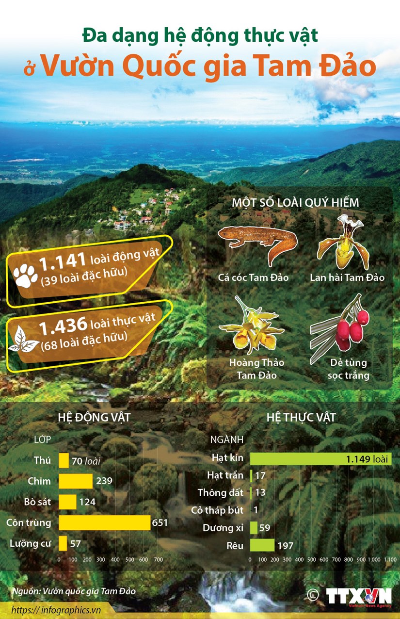 Đa dạng hệ động thực vật ở Vườn Quốc gia Tam Đảo - ThienNhien.Net | Con người và Thiên nhiên